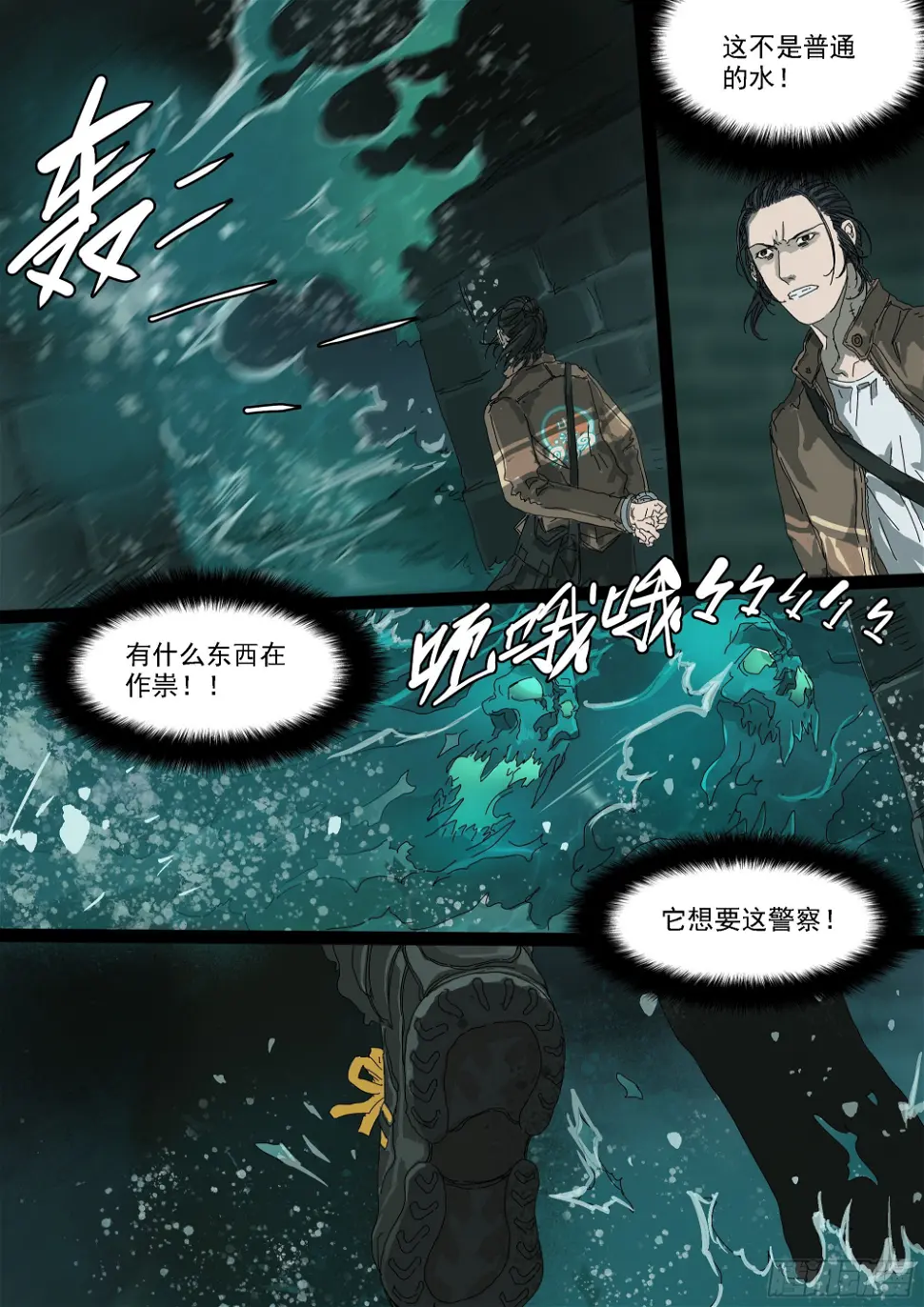 下水道有鸭子很奇怪吗12