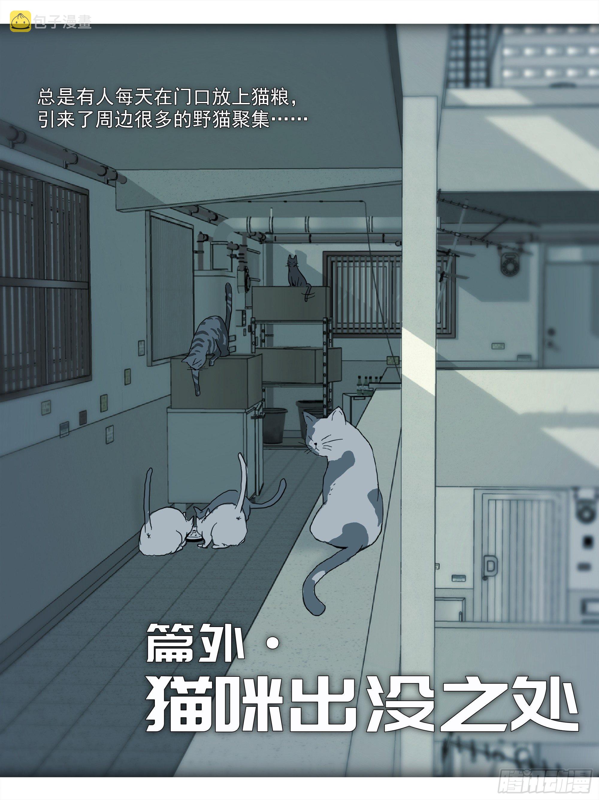 番外篇·猫咪出没之处2