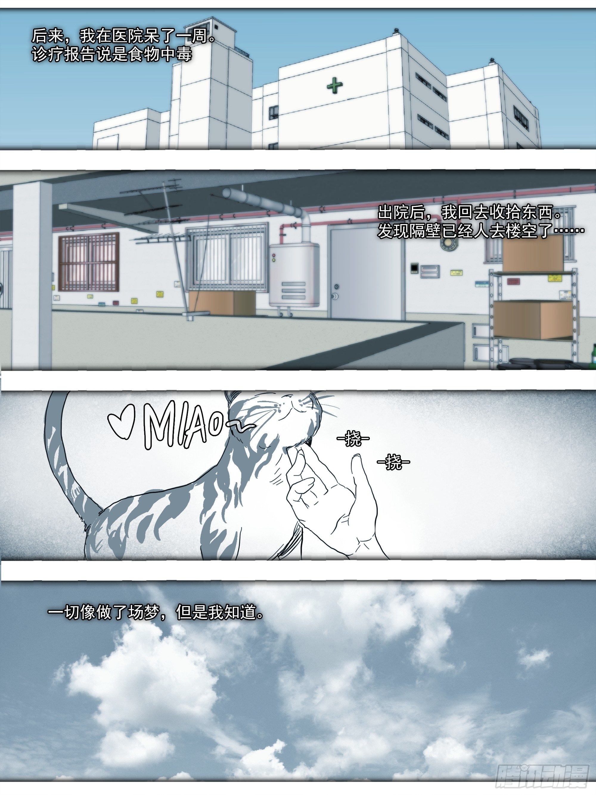 番外篇·猫咪出没之处30
