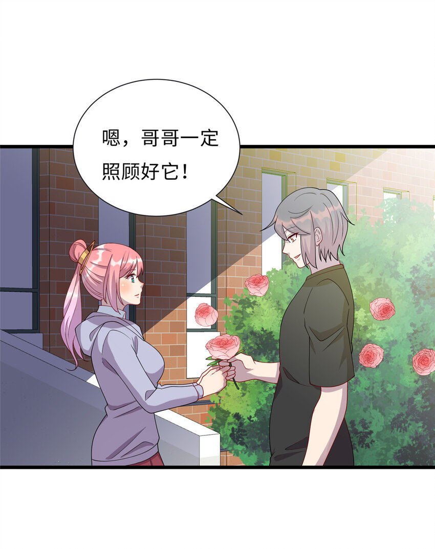 58 赠君蔷薇30