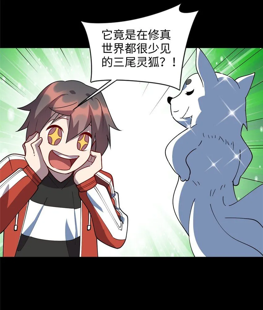 105 灵狐小白19