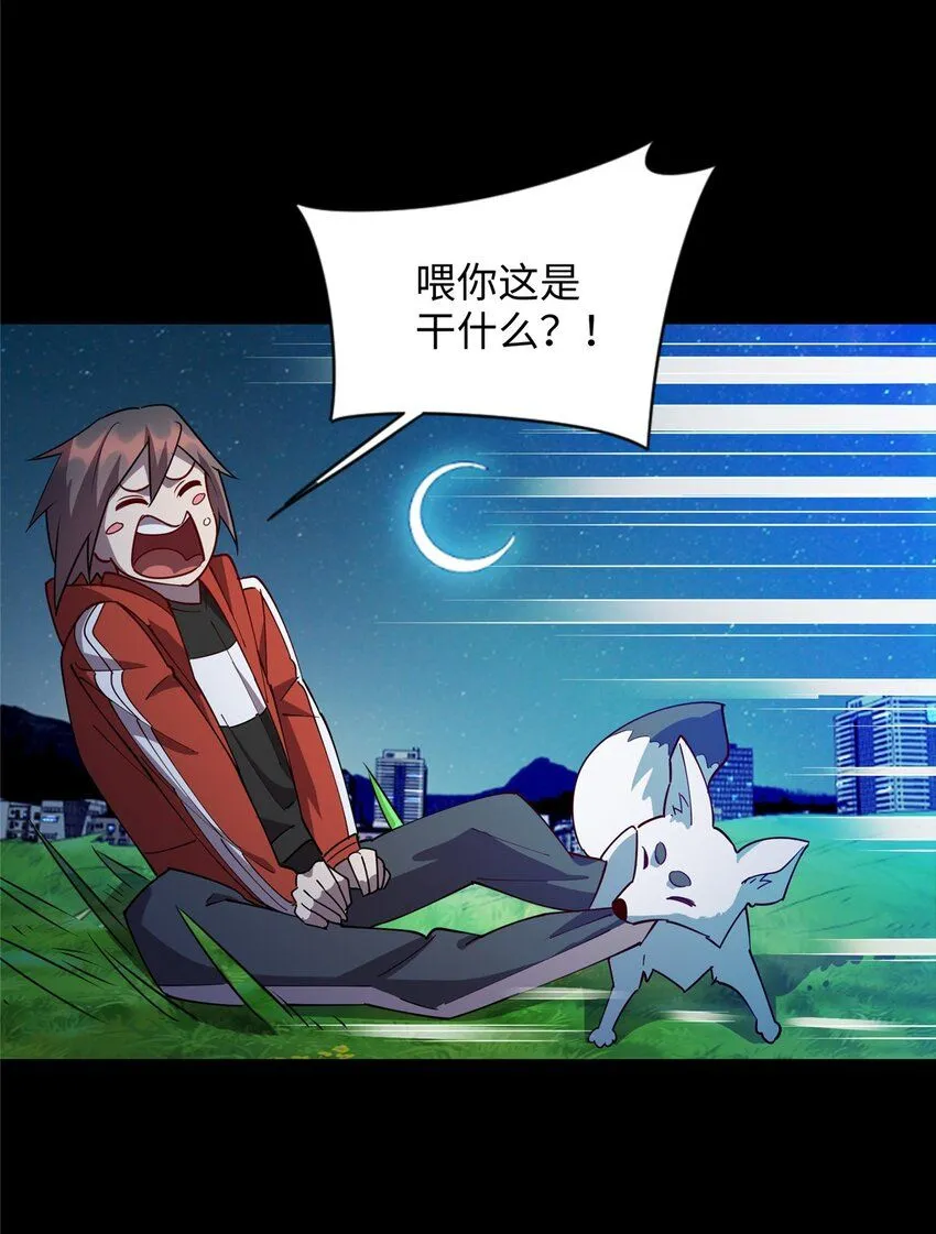 105 灵狐小白25