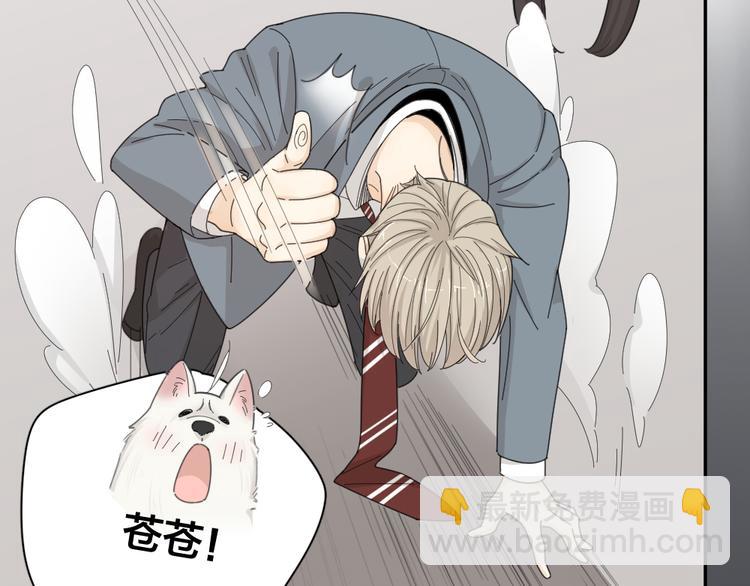 第63话 生日惊喜！91