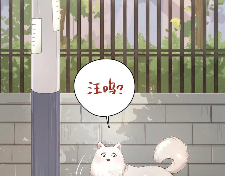 第40话 回到过去6