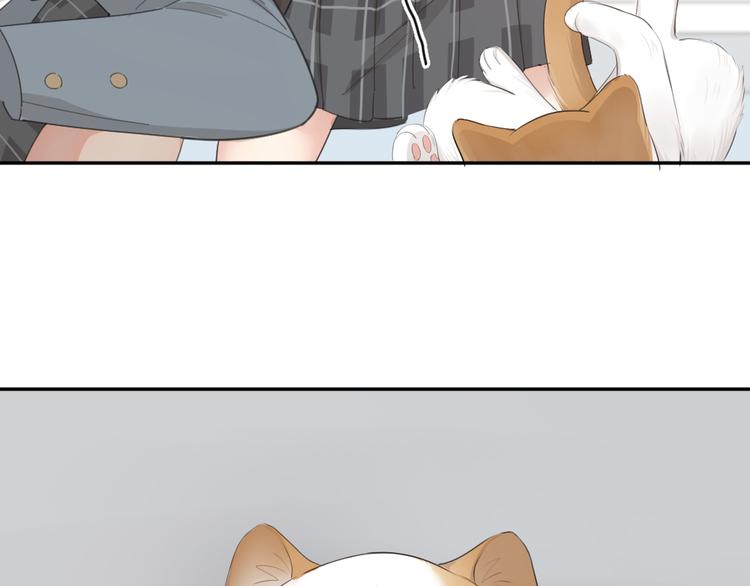 第54话 “幸运”的分班87
