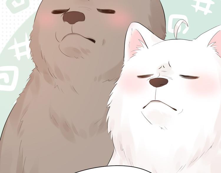 第85话 天定的缘分17