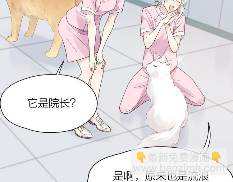 第87话 护士装好可爱！49