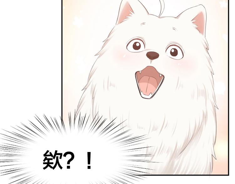 第40话 回到过去17
