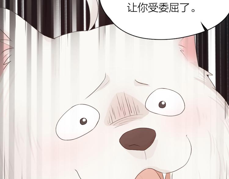 第63话 生日惊喜！52