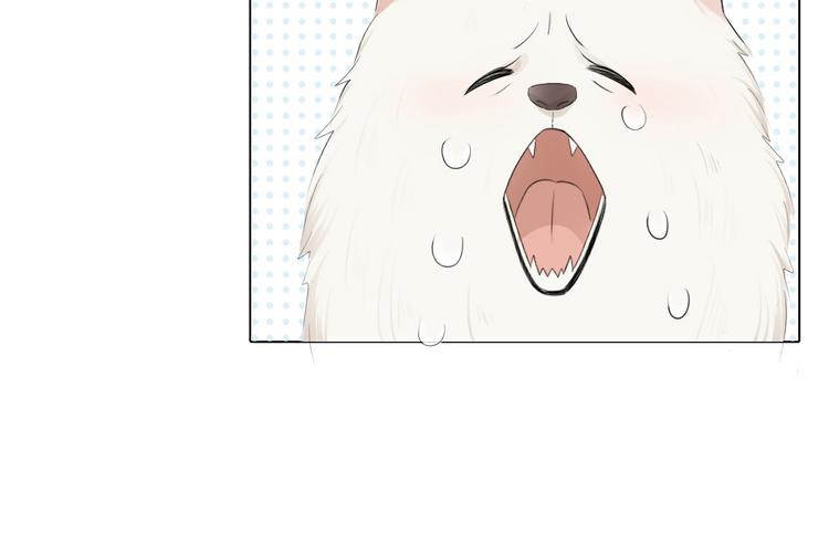 第66话 头上有点绿？55