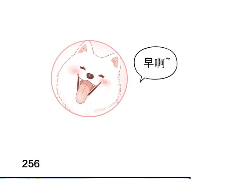 第65话 压寨夫人？2