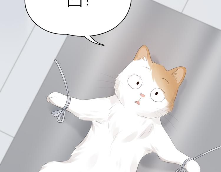 第87话 护士装好可爱！98