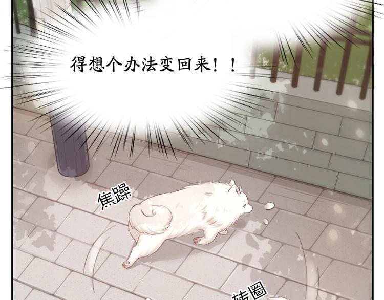 第40话 回到过去10