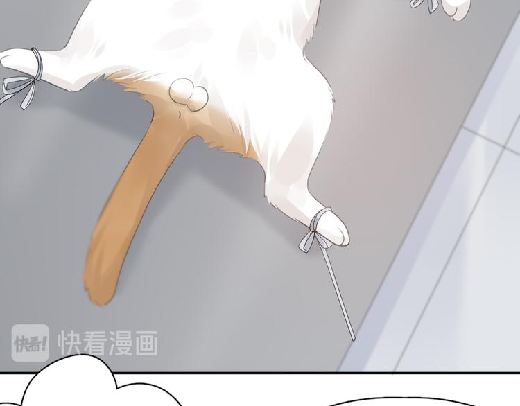第87话 护士装好可爱！99