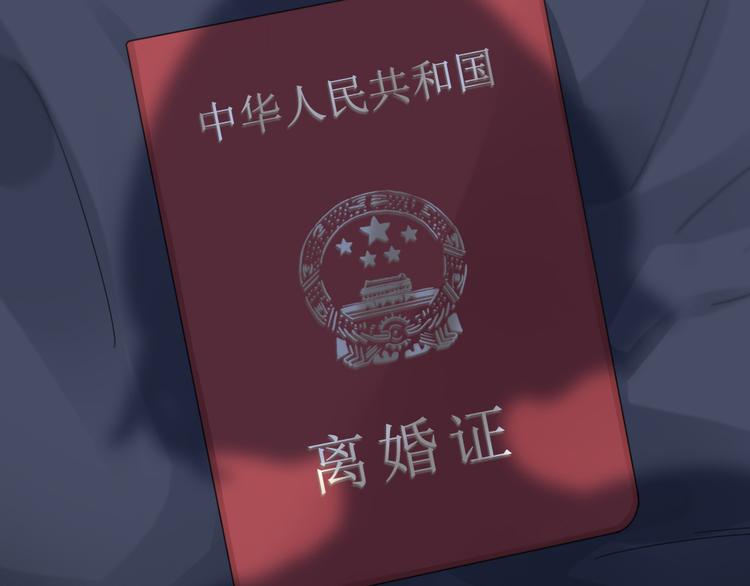 第88话 离婚证51