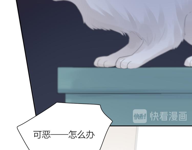 第87话 护士装好可爱！38