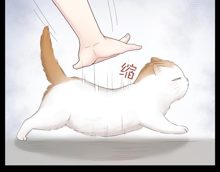 第61话 你会是我的主人吗8