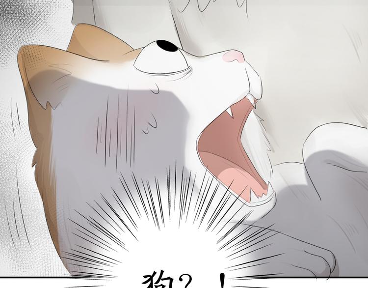 第61话 你会是我的主人吗42