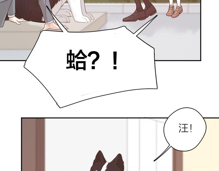 第73话 成为朋友的原因！33