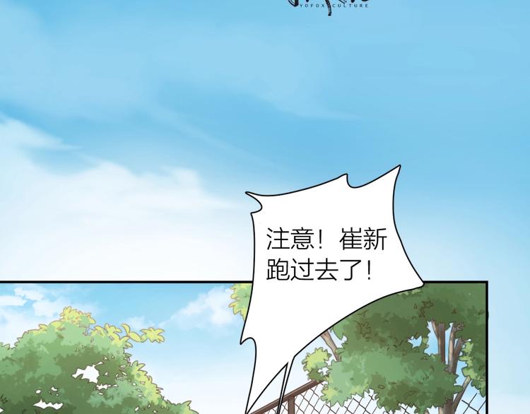 番外 崔新的故事2