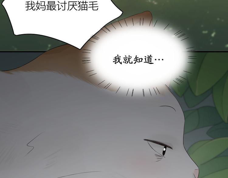 第60话 琴只为你而弹126