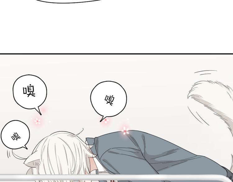 第54话 “幸运”的分班70