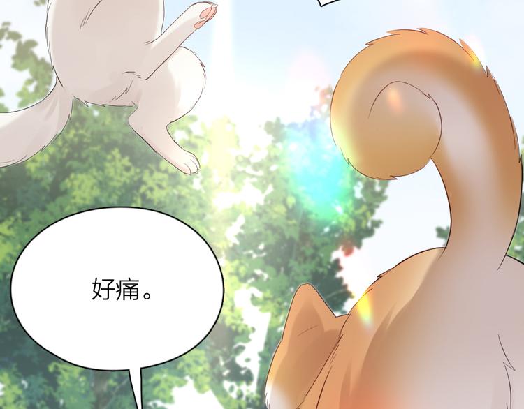 番外 我和CP一起去郊游！61
