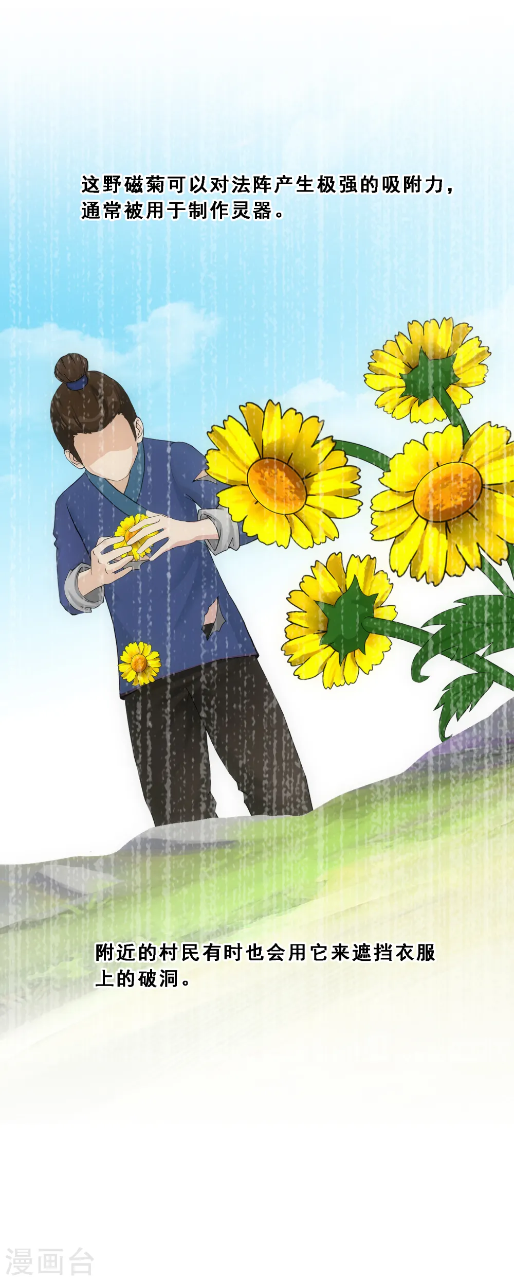 第163话 野磁菊5