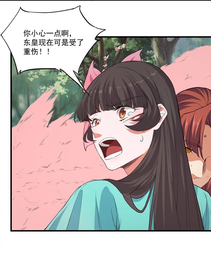 028 狐狸41