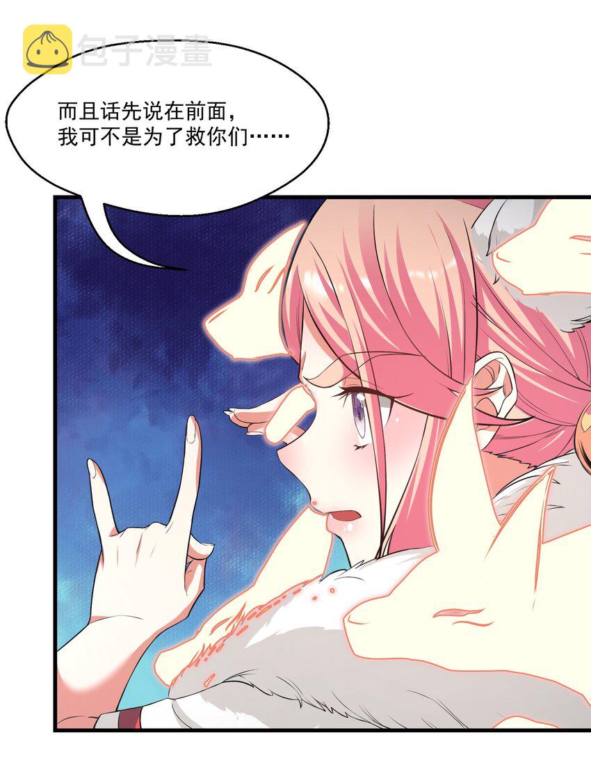 028 狐狸43