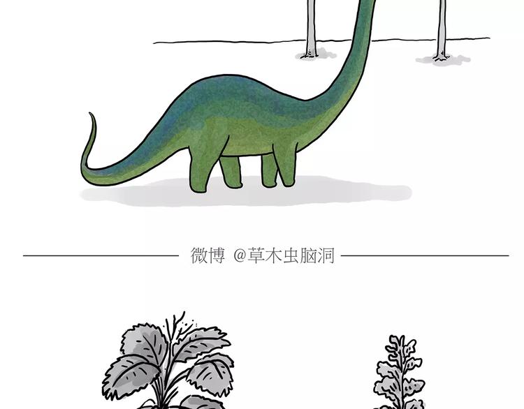 第159话 鸡鸭共奏4