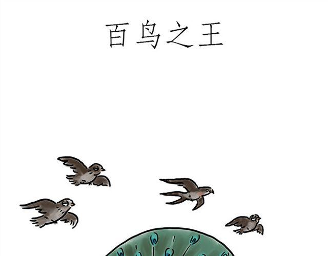 师傅坐热气球30