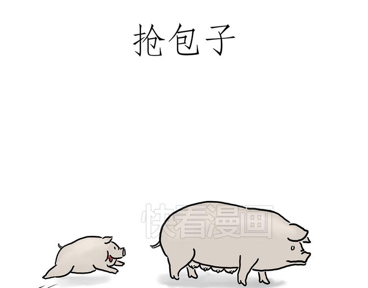 小鸡炖蘑菇6