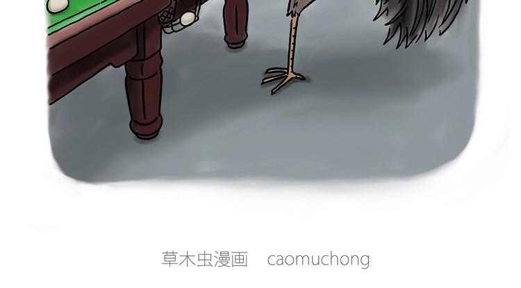 鸡打台球1