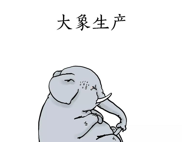 鸵鸟的秘密25