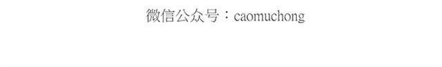 师傅爱大白23
