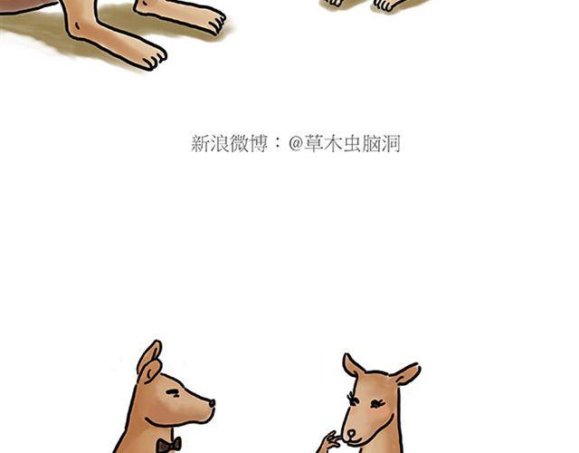 师傅拆快递33