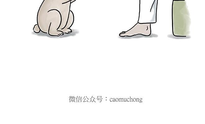 企鹅公厕11