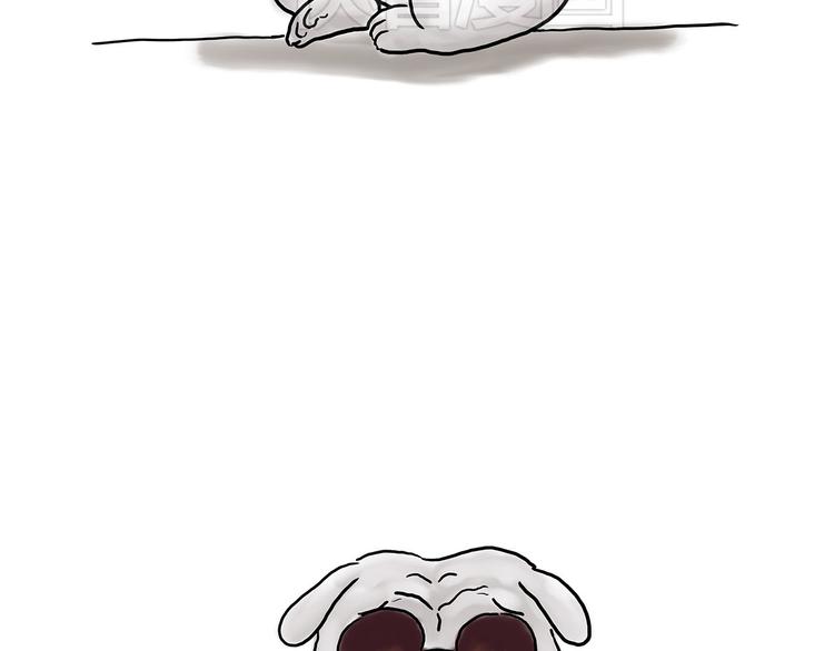 师傅获奖9