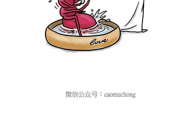 师徒星冰乐17