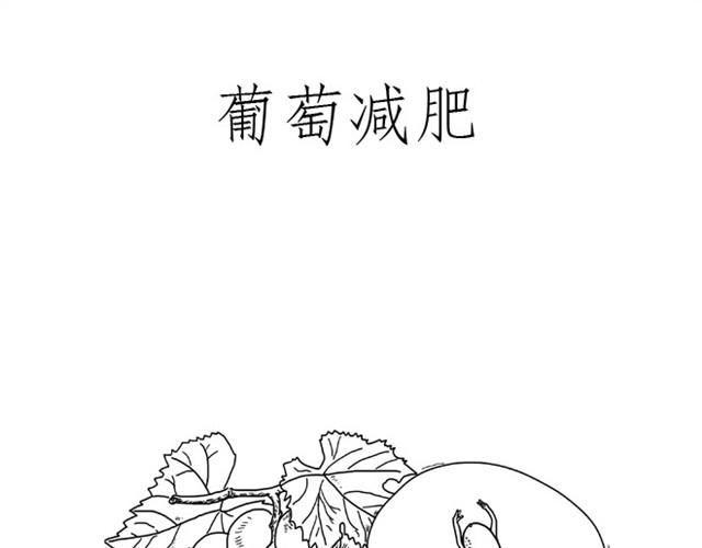 师傅是果粉14