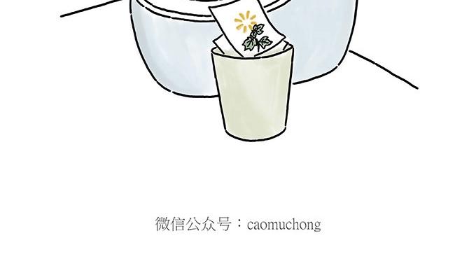 师徒星冰乐5