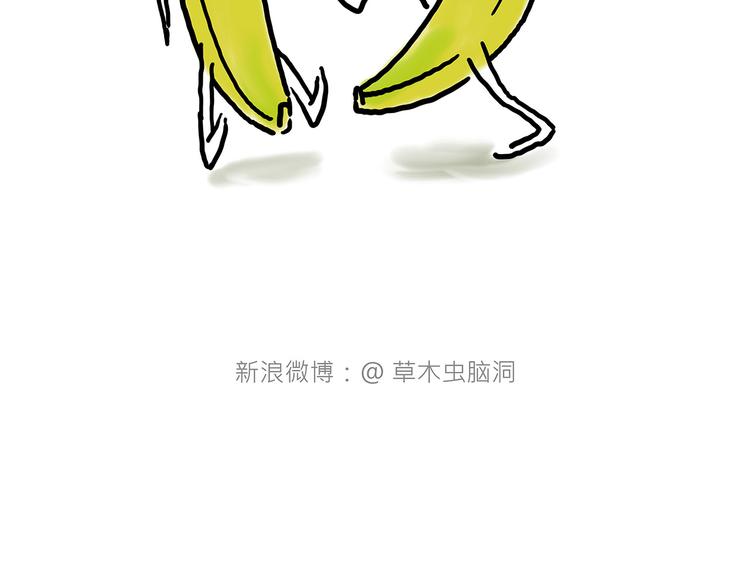 八戒老了17
