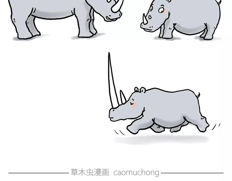 鸵鸟的秘密20
