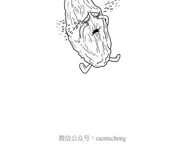 师傅是果粉18