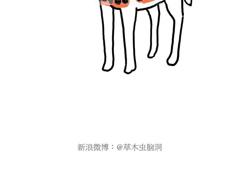 舞狮迎新年29