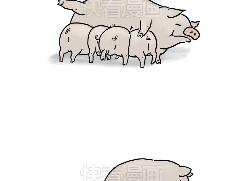 小鸡炖蘑菇8