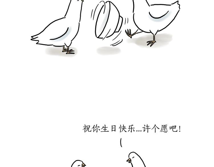 巧手小马17