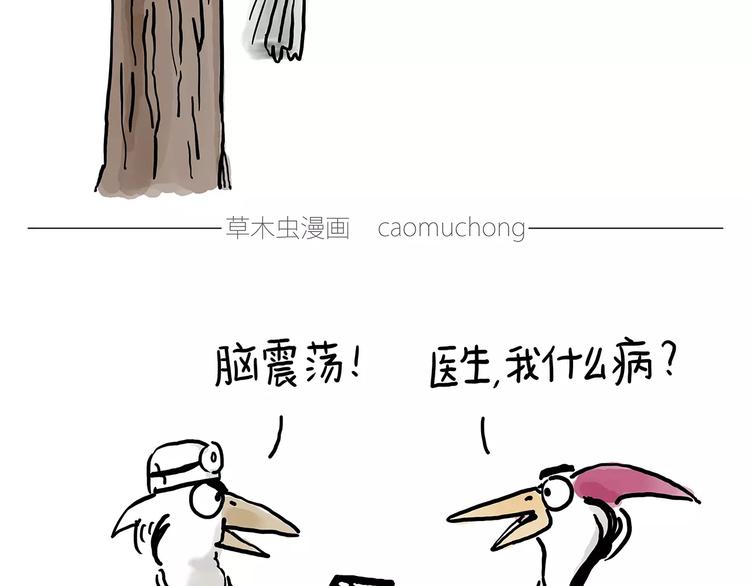 啄木鸟看病3