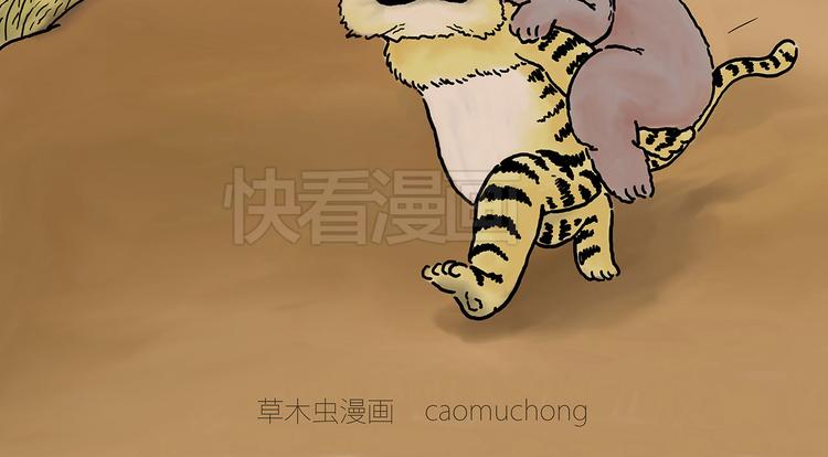 斗舞3